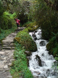trail-with-waterfall.jpg